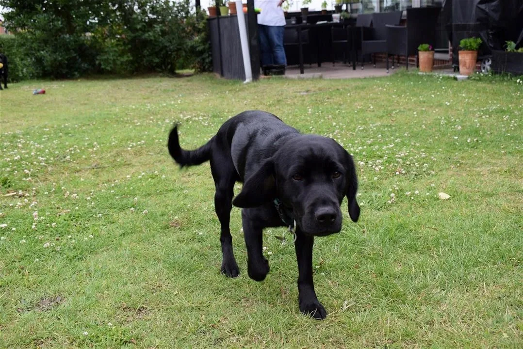 G22.3 last day with mette ian oscar otis assens (5)